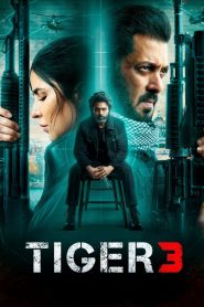 Tiger 3 (2023) Hindi HD Amazon