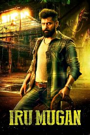 International Rowdy (2016) Hindi Dubbed