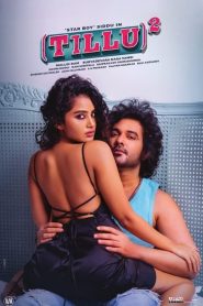 (Tillu) Square (2024) NETFLIX WEB-DL ORG. Dubbed {Hindi DD5.1